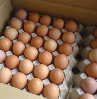Table Eggs
