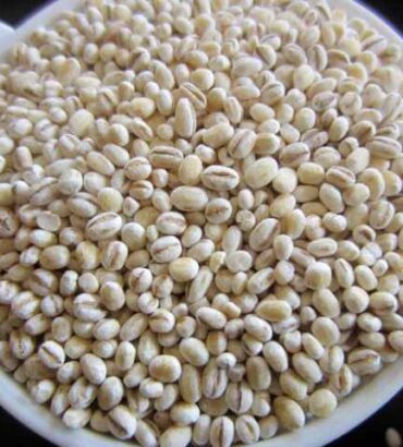 Pearl Barley
