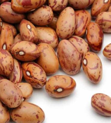 Pinto Beans