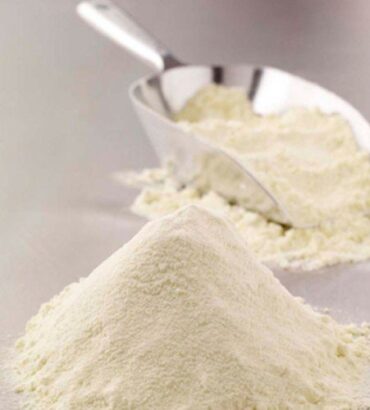 Whole Milk Powder