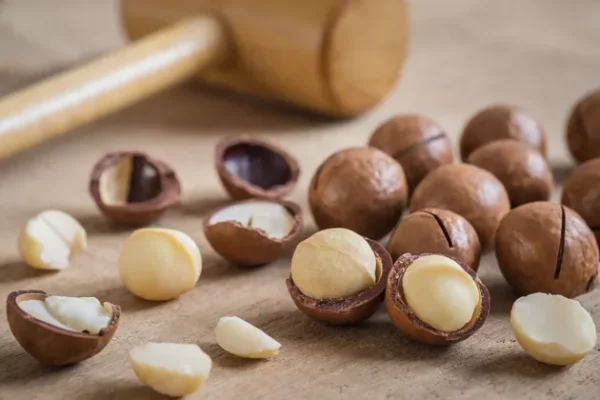 Macadamia Nuts Roasted with Shell