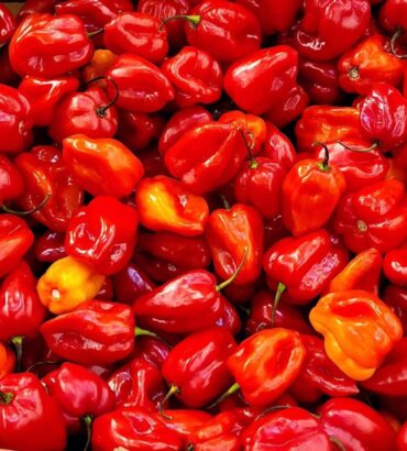Best Cameroon Red Pepper