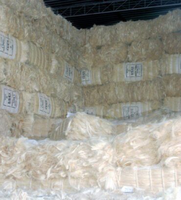 Sisal Fiber
