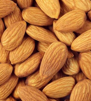 Organic Almond Nuts