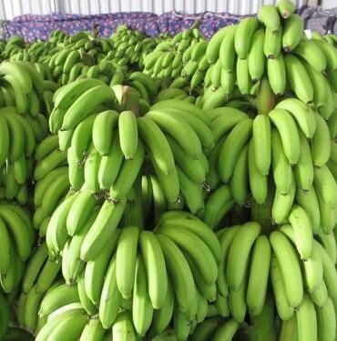 Premium Natural Cavendish Banana