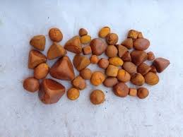 Cow Gallstones