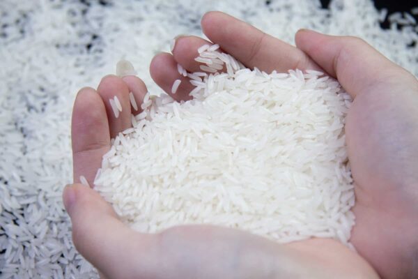 Vietnam Rice