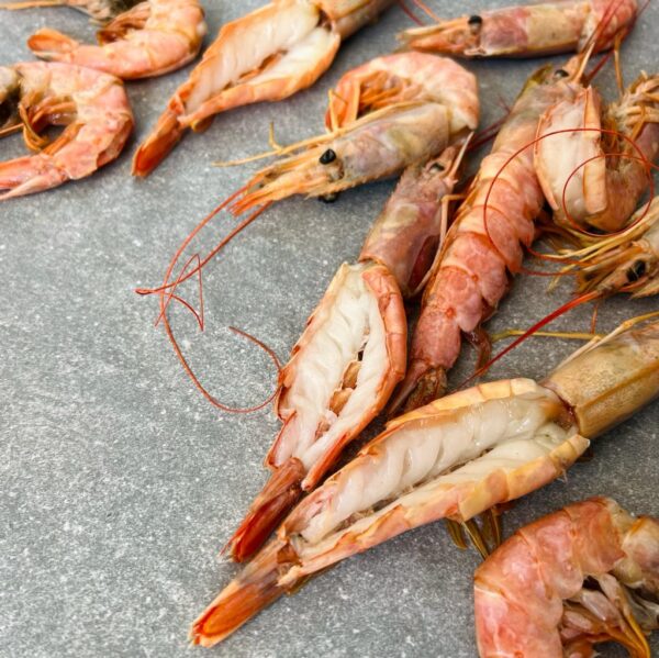 XL Pink Prawn | Butterflied and Deveined | Frozen Box