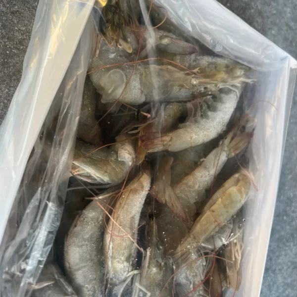 King Prawns